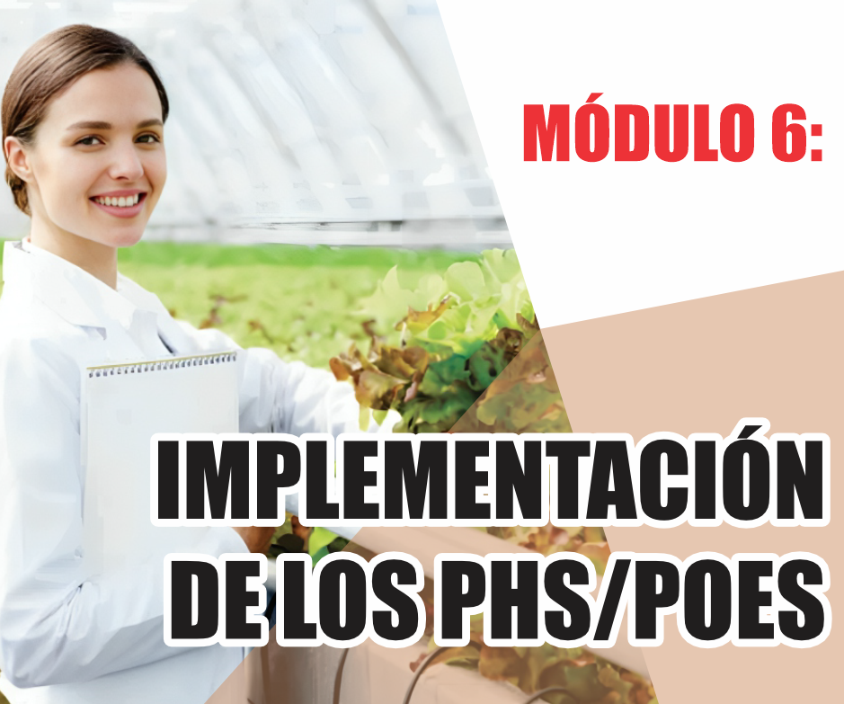IMPLEMENTACIÓN DE LOS PHS/POES