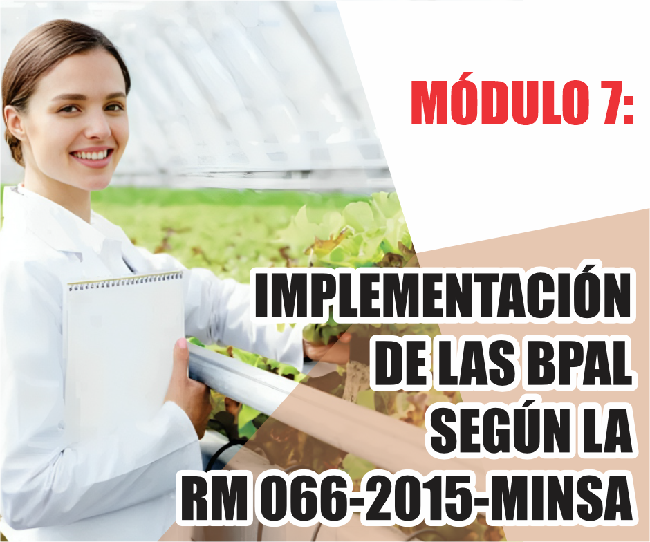 IMPLEMENTACIÓN DE LAS BPAL SEGÚN LA RM 066-2015-MINSA