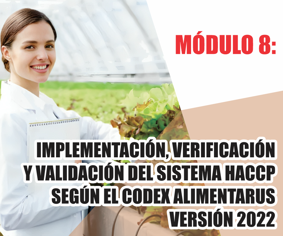 IMPLEMENTACIÓN, VERIFICACIÓN Y VALIDACIÓN DEL SISTEMA HACCP SEGÚN EL CODEX ALIMENTARUS VERSIÓN 2022